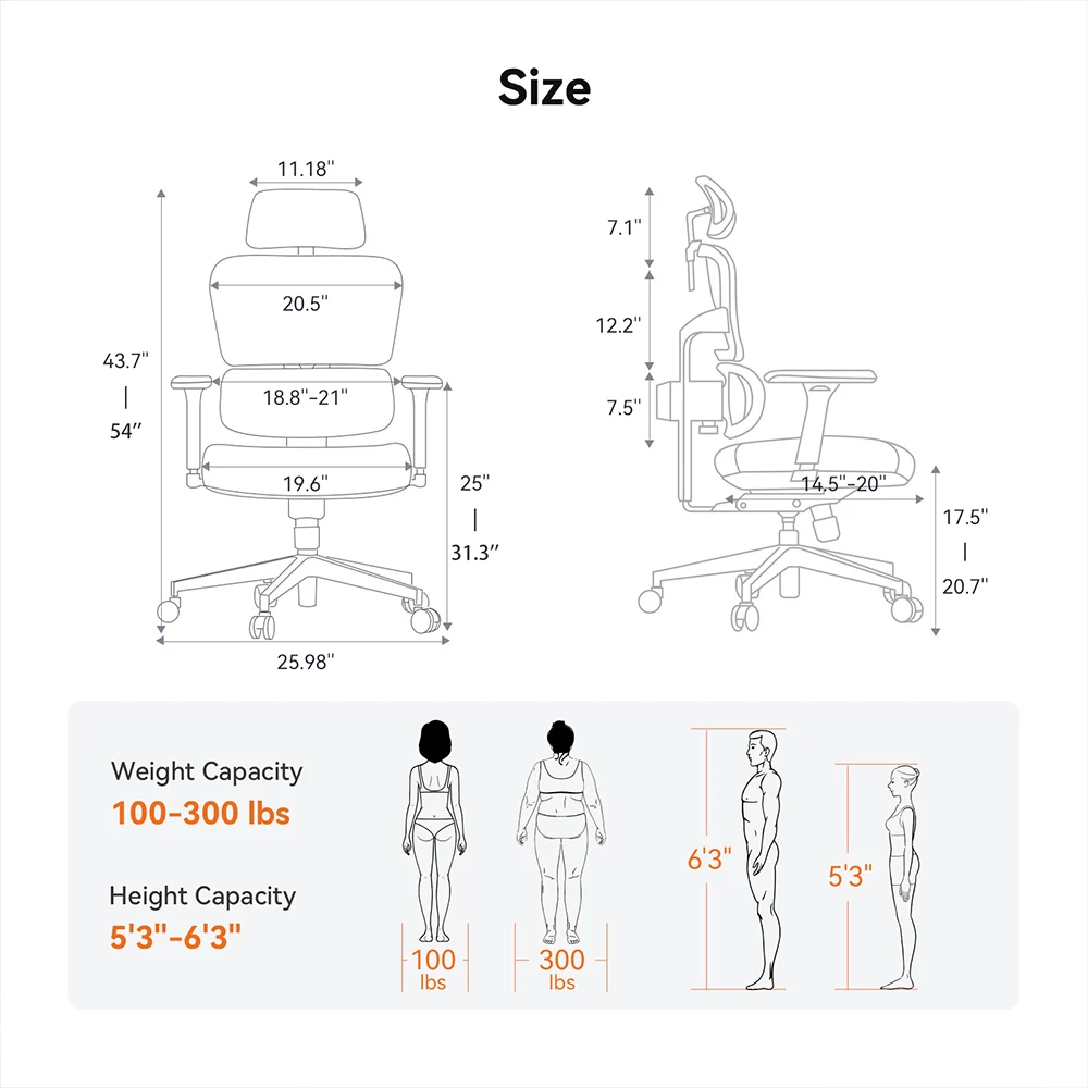 kf-A0c1b2930cf374032b3702f950c81c6c7y