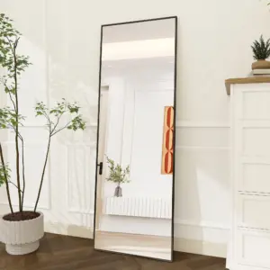 Full Body Mirror 164x54 cm, Frame Standing Mirror, Wall Mounted, Leaning, Floor Mirror for Bedroom, Living Room, Dressing Room