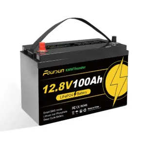 Foursun 12V 100Ah LiFePO4 Battery (1280Wh) with Low-Temp BMS Protection, 4500+ Cycles for Motorhome/Solar/Camping