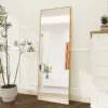 Anajqaqia Dressing Mirror, Arched Full-Length Mirror, Curved Standing Mirror, Aluminium Alloy Frame,Tempered Glass, for Bedroom