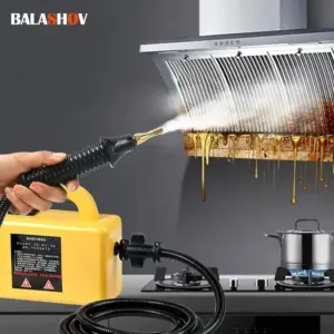 2600W Steam Cleaner High Temperature and Pressure Sterilization Air Conditioning Kitchen and Home Appliances Car Wet Cleaner220V