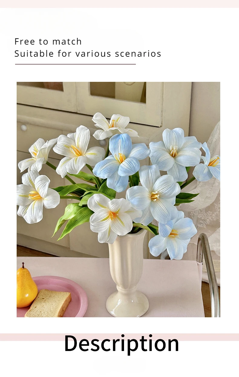 kf S01dd2dcee45944dea6a3a65e019ae75bm