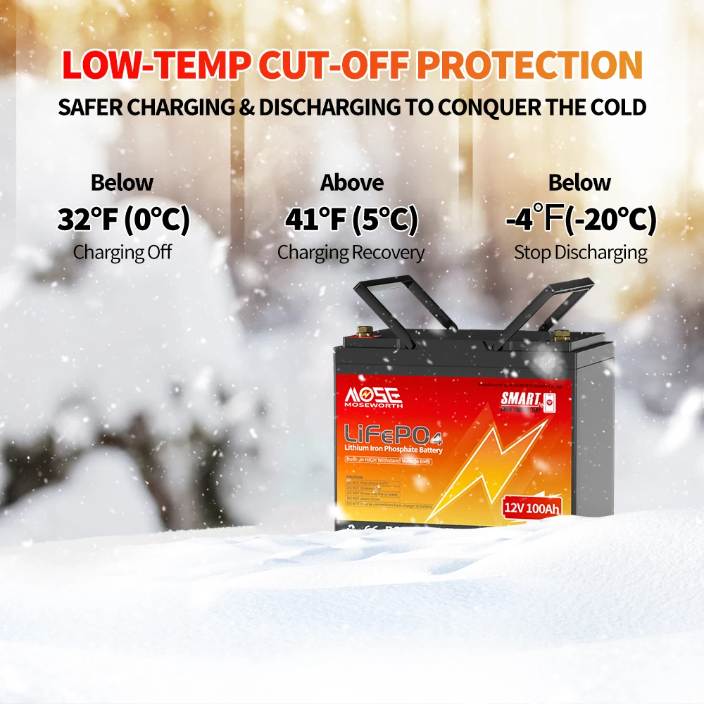 MOSEWORTH LiFePO4 12V 100Ah Battery Pack 12.8V Lithium Battery 8000+ Cycles With Bluetooth BMS Grade A For Boat RV Campers 9 kf S02f107884f5b4eb9b5956a64da525de7L