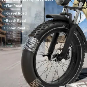 Electric Bike 250W Motor 48V18AH Batteries Hydraulic Brake Dual Suspension Electric Bicycle 20-Inch Fat Tire All Terrain E Bike 6 kf S03ebc32f9c684dcaa2d7d78ab4ac5674B