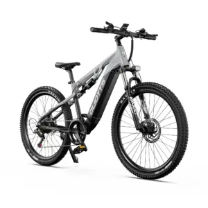 DUOTTS E29 Adult Urban & Mountain Electric Bike - 250W Motor - 48V 13.5Ah Battery - Hydraulic Brakes - 27.5'' Tires