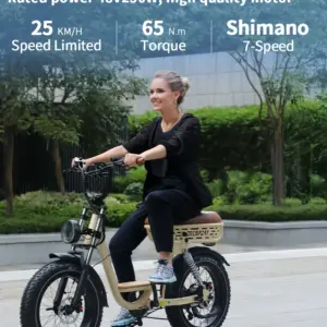 Electric Bike 250W Motor 48V18AH Batteries Hydraulic Brake Dual Suspension Electric Bicycle 20-Inch Fat Tire All Terrain E Bike 2 kf S0bc0232a3d0b4365a03ccd6de7f585453