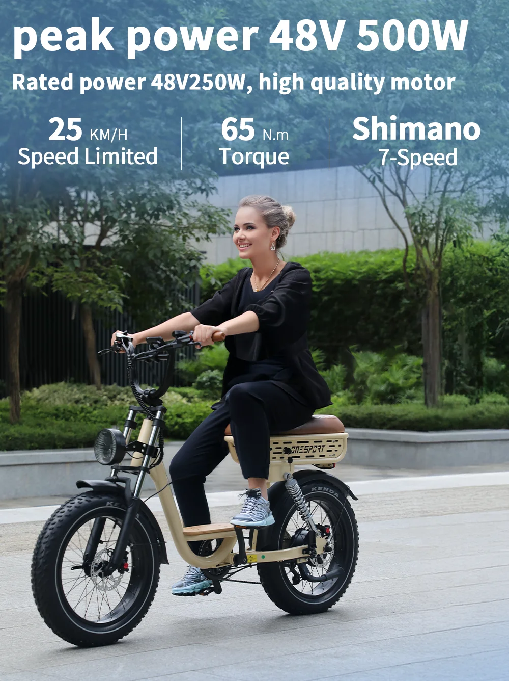 Electric Bike 250W Motor 48V18AH Batteries Hydraulic Brake Dual Suspension Electric Bicycle 20-Inch Fat Tire All Terrain E Bike 9 kf S0bc0232a3d0b4365a03ccd6de7f585453