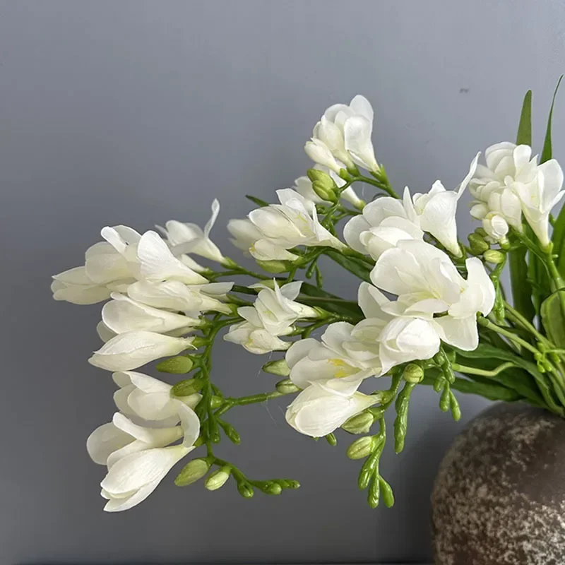 kf S0e61c208fca1439689562a7afebc8708V