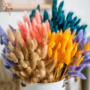 100Pcs Natural Bunny Rabbit Tail Grass Real Dried Flower Home Decor Bouquet Colorful Lagurus Ovatus Wedding Floral Arrangement 3 kf S0ee5e14427b74e96939077cbb2f8f946i