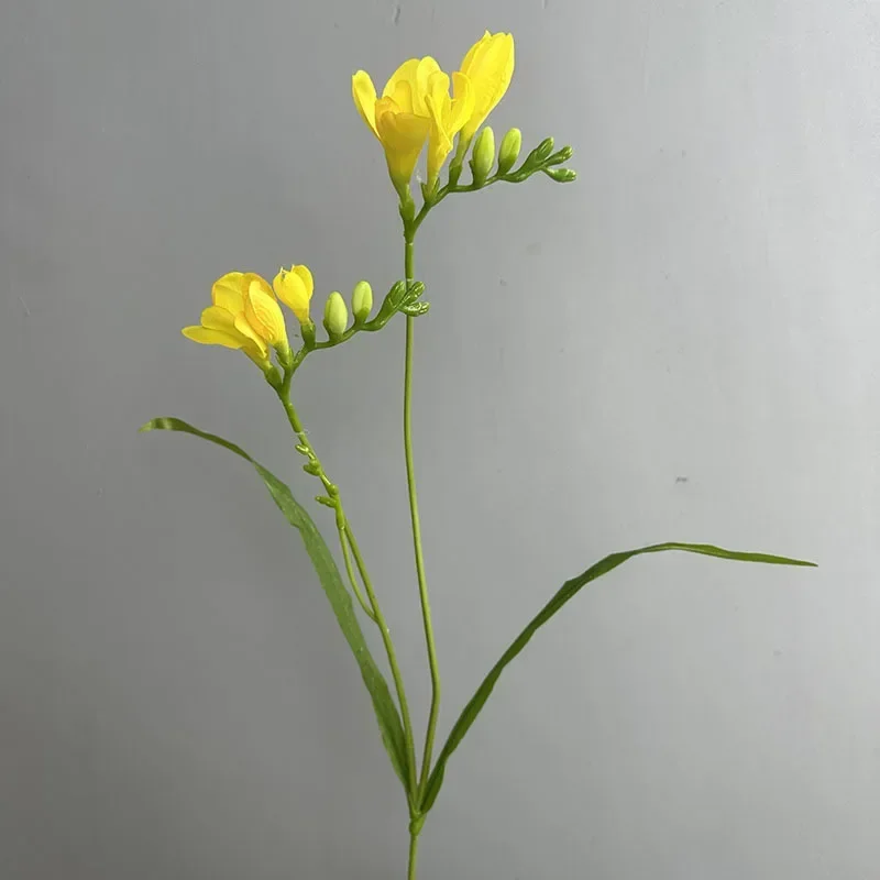 kf S17eda4af13e84a27bfb0c8863d3fdfd8A