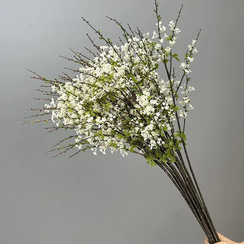 kf S2187cc85b9ac48cebea21083a0661421l