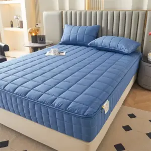 6-Sides Full Enclosed Thicken Fitted Sheet Mattress Cover with Zipper Custom Size Quilted Bed Sheet Anti-mite Mattress Protector