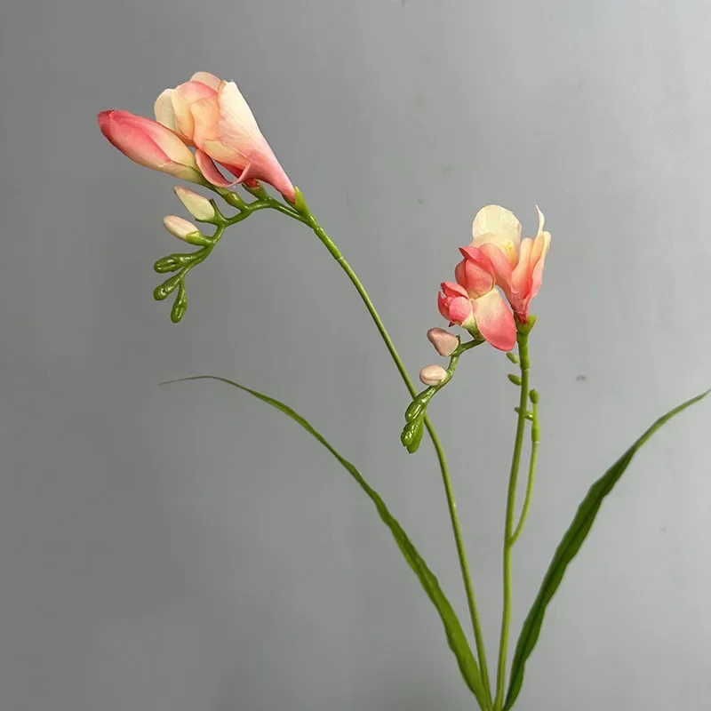 kf S2a8d06ce68794e0d946febf2f6547e4fm