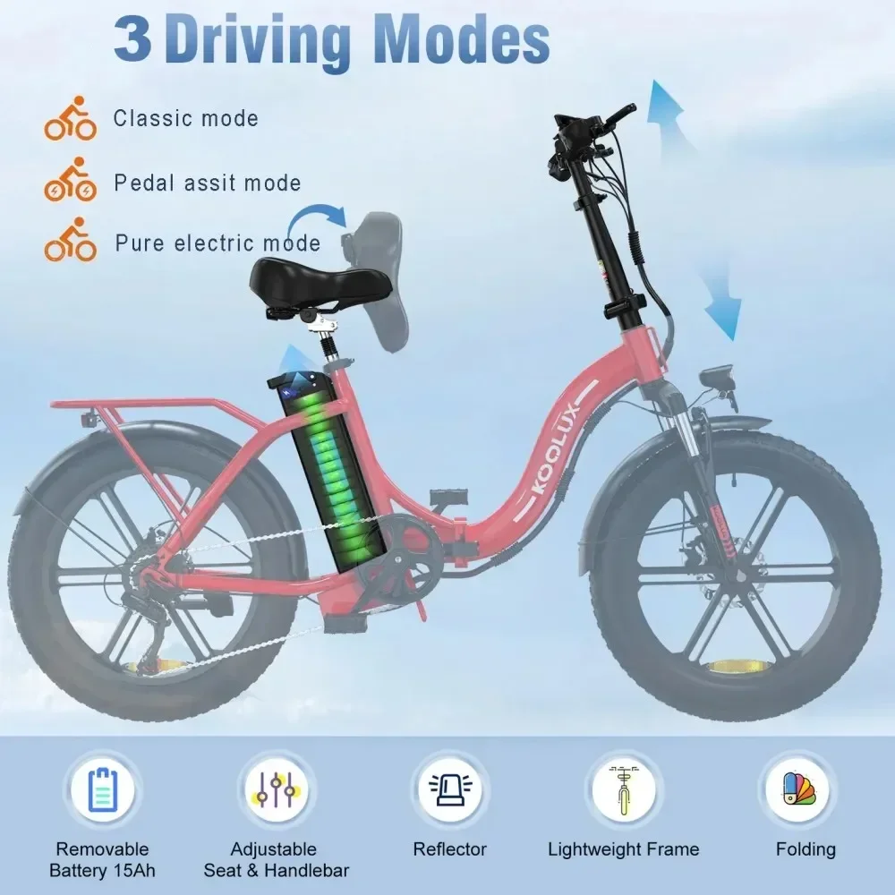 Electric Bike 750W Motor 48V13AH Battery Double Shock Absorber Electric Bicycle 20-Inch Fat Fetus Anti-slip Folding E-Bike 9 kf S2e0ac84908c84f688b15ff14831be452Q