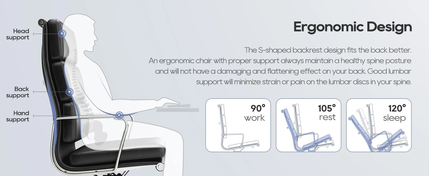 Adjustable Genuine Leather Office Chair with Lumbar Support Alloy Arms Base Executive Chair Ergonomic Desk Computer Chairs 11 kf S2f9e689b26754b2186e9a519a7b318e8w