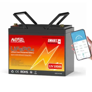 MOSEWORTH LiFePO4 12V 100Ah Battery Pack 12.8V Lithium Battery 8000+ Cycles With Bluetooth BMS Grade A For Boat RV Campers 5 kf S3171d66b28eb4947ba5132dd76dcc82e9