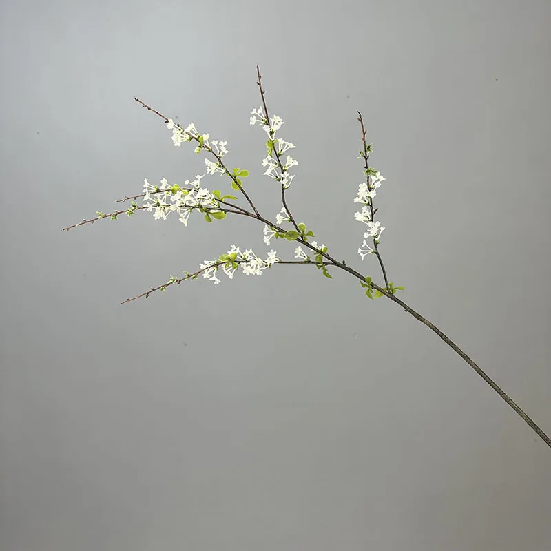 kf S385fd619654547b49cb477c08e3fb16bE