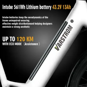 kf S387b80d8ca8a4443b810346088e7b58cg