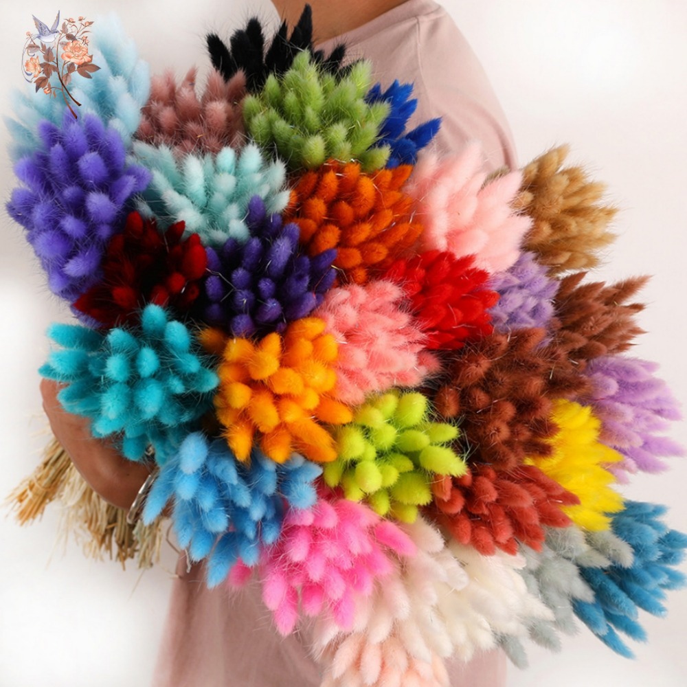 100Pcs Natural Bunny Rabbit Tail Grass Real Dried Flower Home Decor Bouquet Colorful Lagurus Ovatus Wedding Floral Arrangement 10 kf S4b5cd91ecf0f438caee8cd20aa7ced127