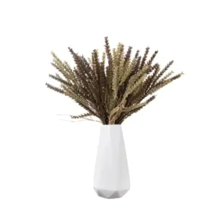 kf S4cfb8383df0546c9a6a225934d0c4c70n