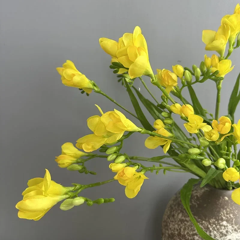 kf S4d74427f232f4cd2af2d688256bb0697Q