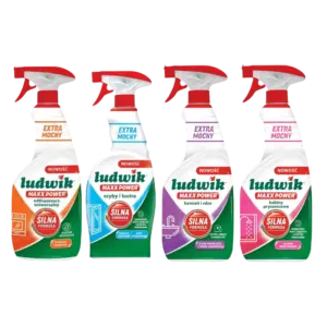 LUDWIK MAXX POWER Cleansing Spray Fluid Dispose Mold 3x600ml 750ml