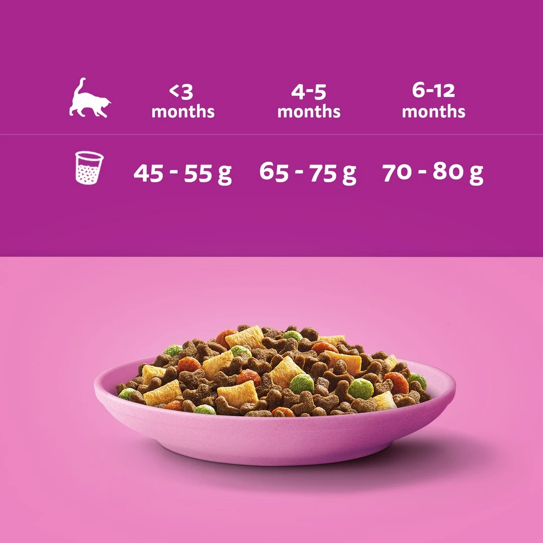 Whiskas Junior Dry Food For Kittens With Chicken 14Kg 9 kf S566b1d68bc844d99908653012ad1d41bD