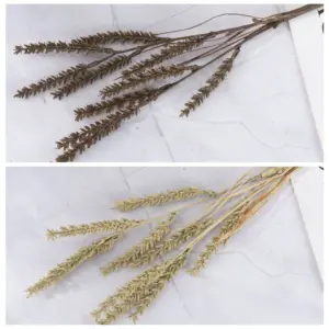 kf S58fb7cac0382462692ac00b34e9f3b2dj