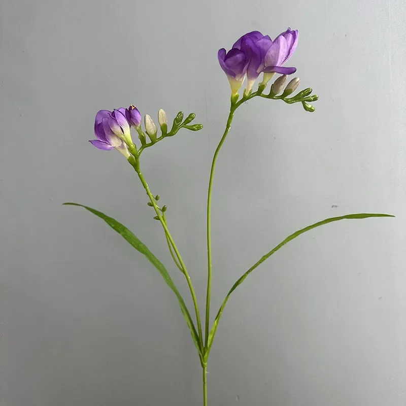 kf S5c1cf5fbf6ad47a6bfdbc91b8d63c1ef6