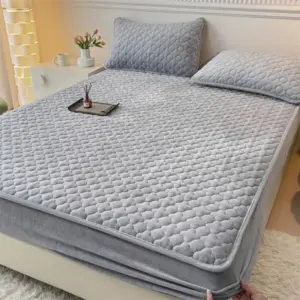 2024 new winter comfort class A high gram milk fleece soybean antibacterial fleece padded single piece mattress