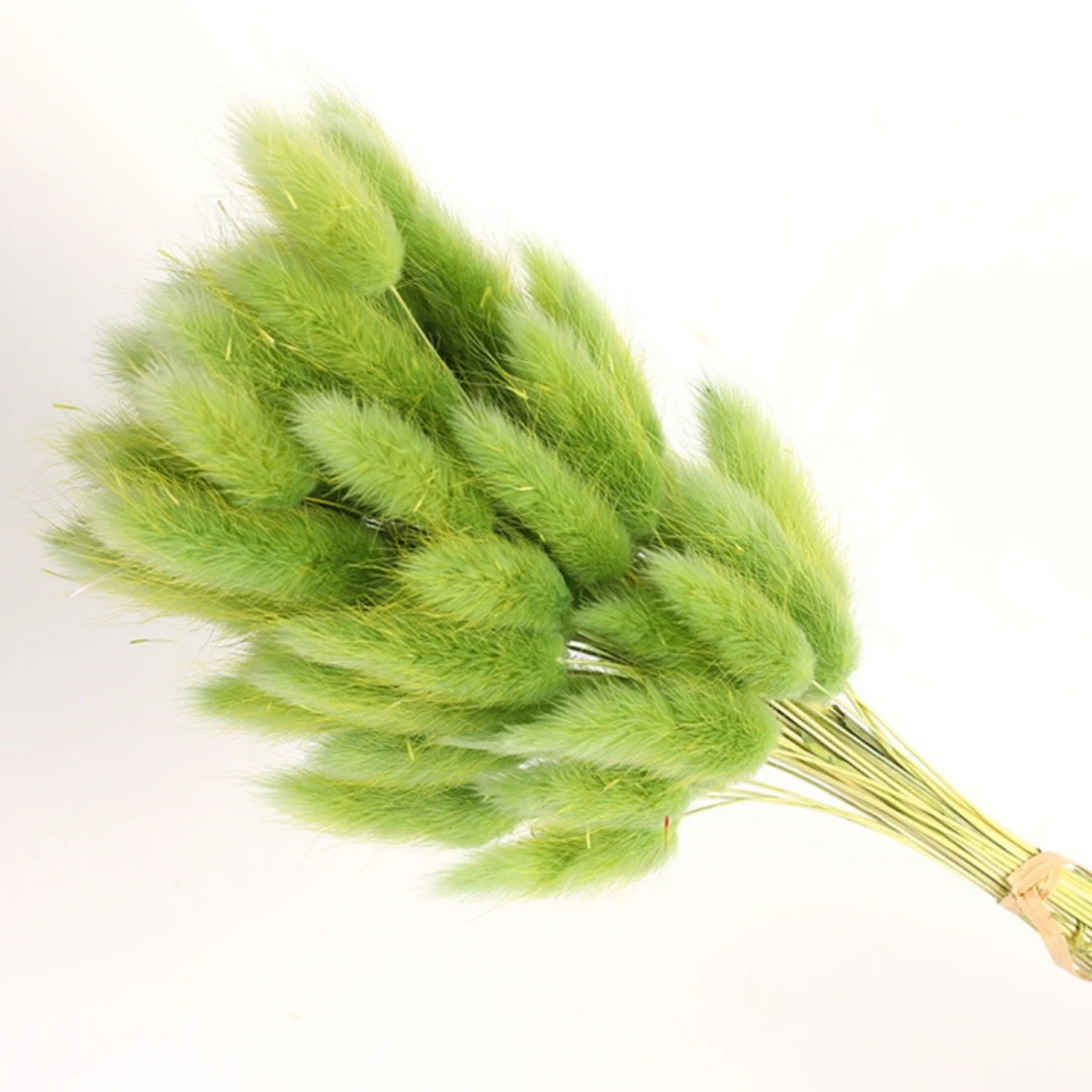 100Pcs Natural Bunny Rabbit Tail Grass Real Dried Flower Home Decor Bouquet Colorful Lagurus Ovatus Wedding Floral Arrangement 17 kf S6a005e6e16734d2dab5a0435214676a0C