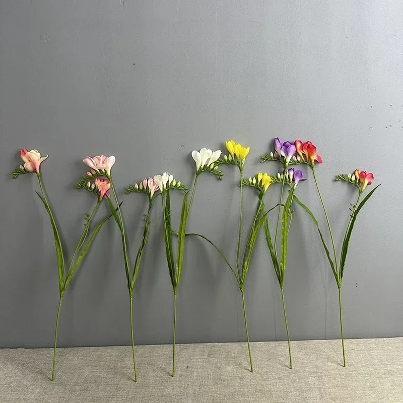 hmqViviiyNSAyin9WuaTt6vR3MnNX9rZ+tYS