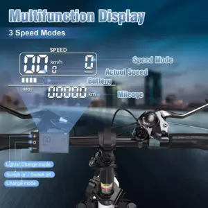 Electric Bike 750W Motor 48V13AH Battery Double Shock Absorber Electric Bicycle 20-Inch Fat Fetus Anti-slip Folding E-Bike 4 kf S6f93cc0819f142db90cc6e78d99d9569G