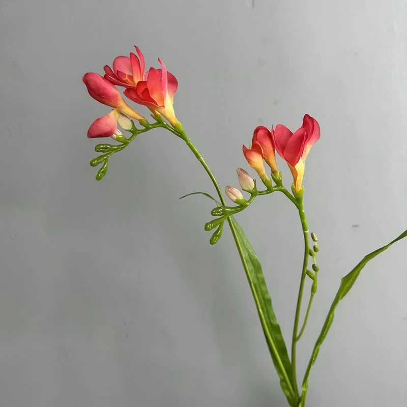 kf S780aacfa167a4618adc0922785322dadg