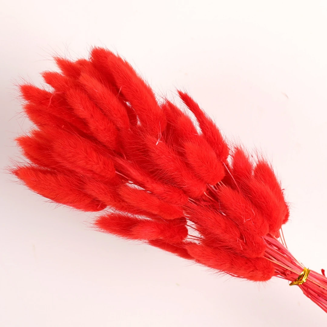 100Pcs Natural Bunny Rabbit Tail Grass Real Dried Flower Home Decor Bouquet Colorful Lagurus Ovatus Wedding Floral Arrangement 18 kf S7a97c6ee69504576a140daae5e634c04r