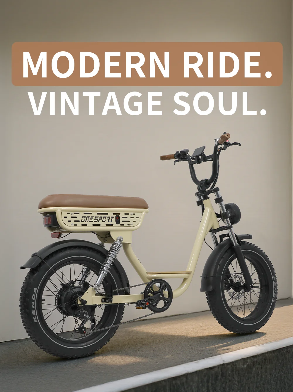 Electric Bike 250W Motor 48V18AH Batteries Hydraulic Brake Dual Suspension Electric Bicycle 20-Inch Fat Tire All Terrain E Bike 14 kf S7c22d6a9ac994f6f90cc7d8fe0ccf5394