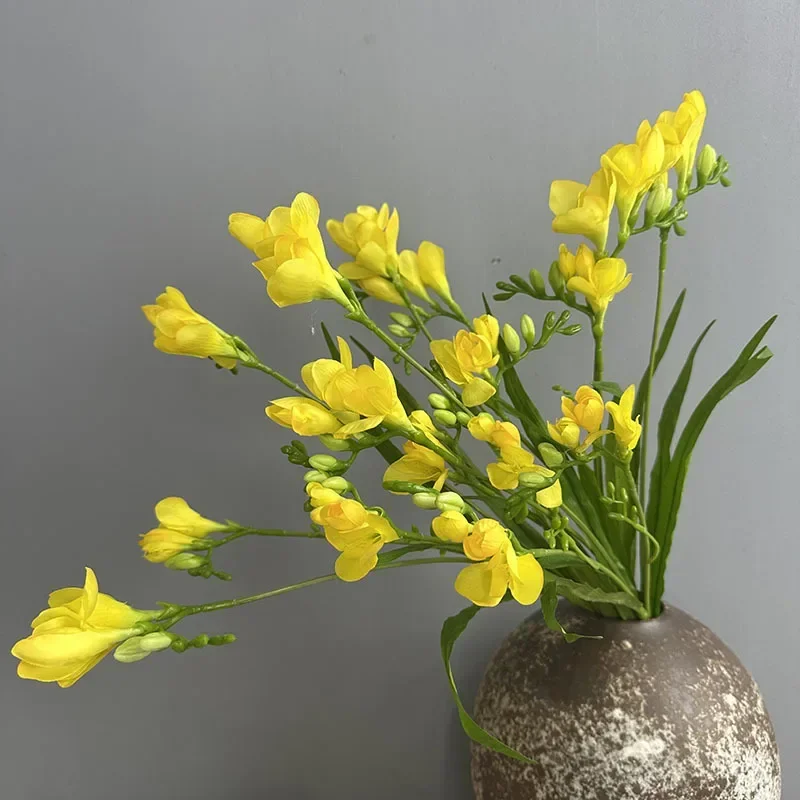 kf S810f375c565742028c3f809503394a914