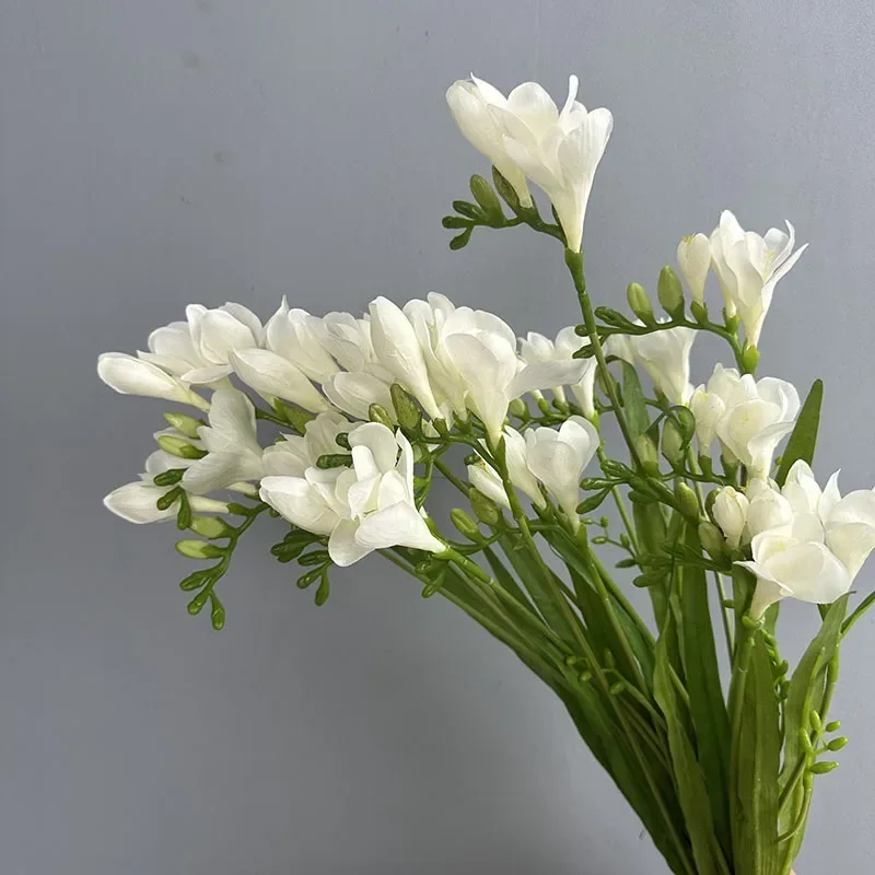 kf S83f466eb87ac485d857b4a9791c8dc3d7