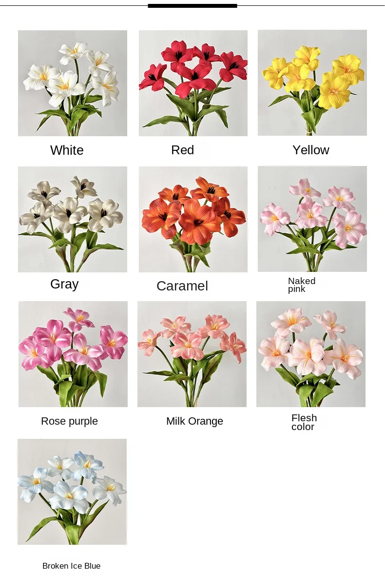 kf S843dd40da075480c83206dc34542e28dO