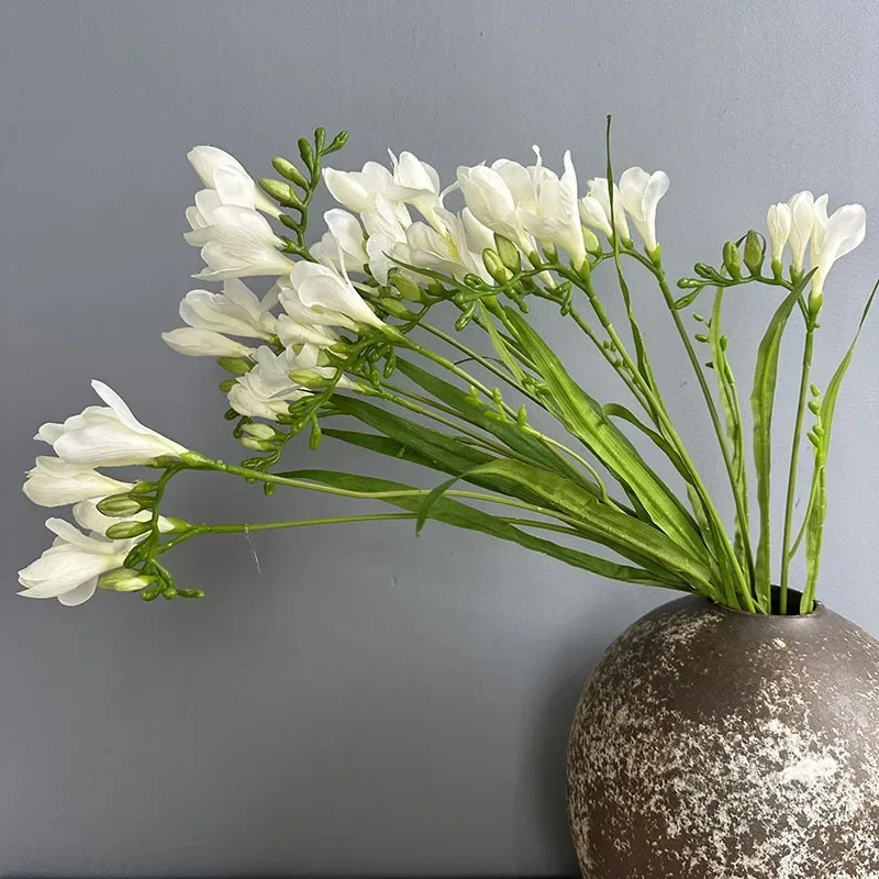 kf S86169b75b1c24e5bb9b03887669f99b4z