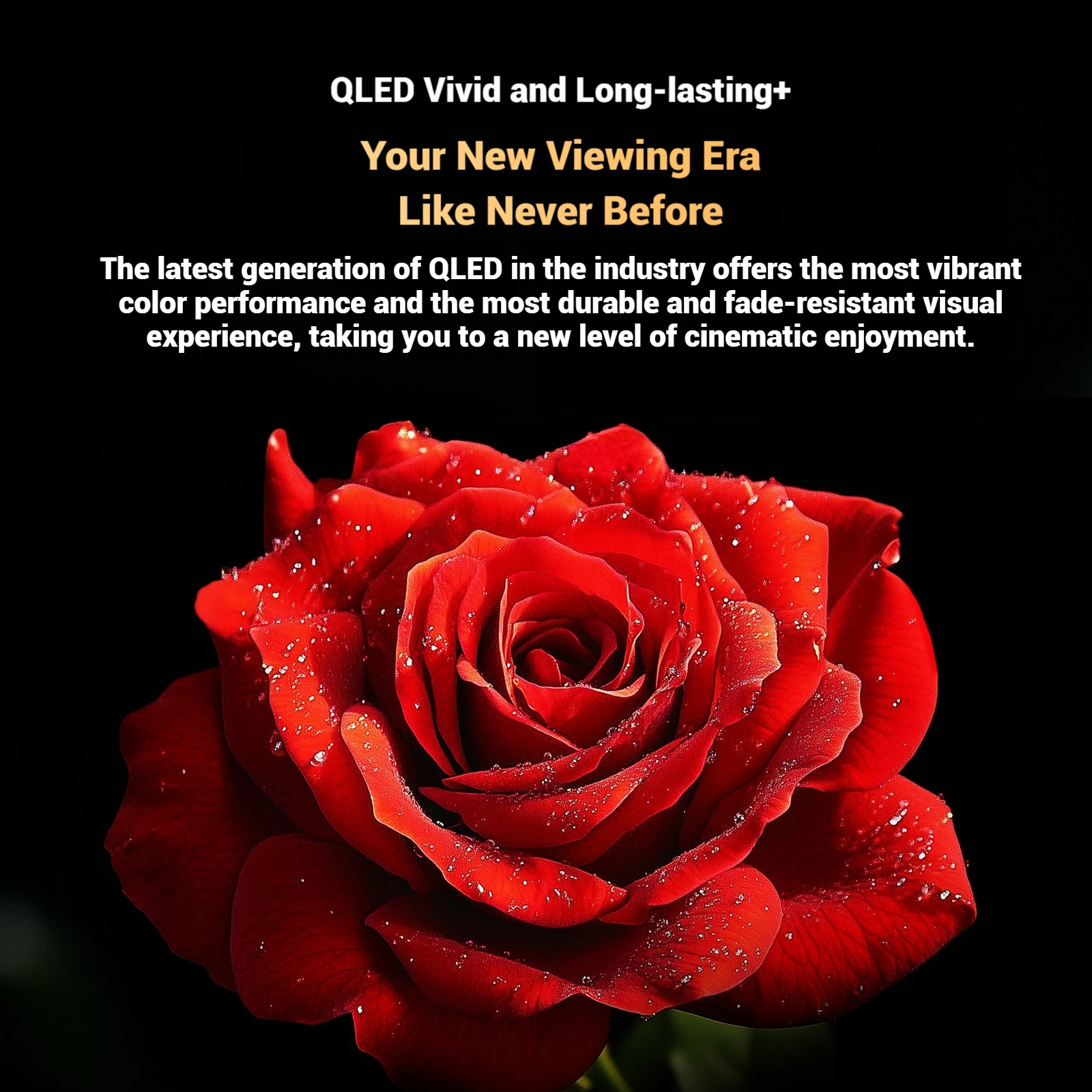 kf S89e99bfbb9c241259a0b0212e0b493e6o