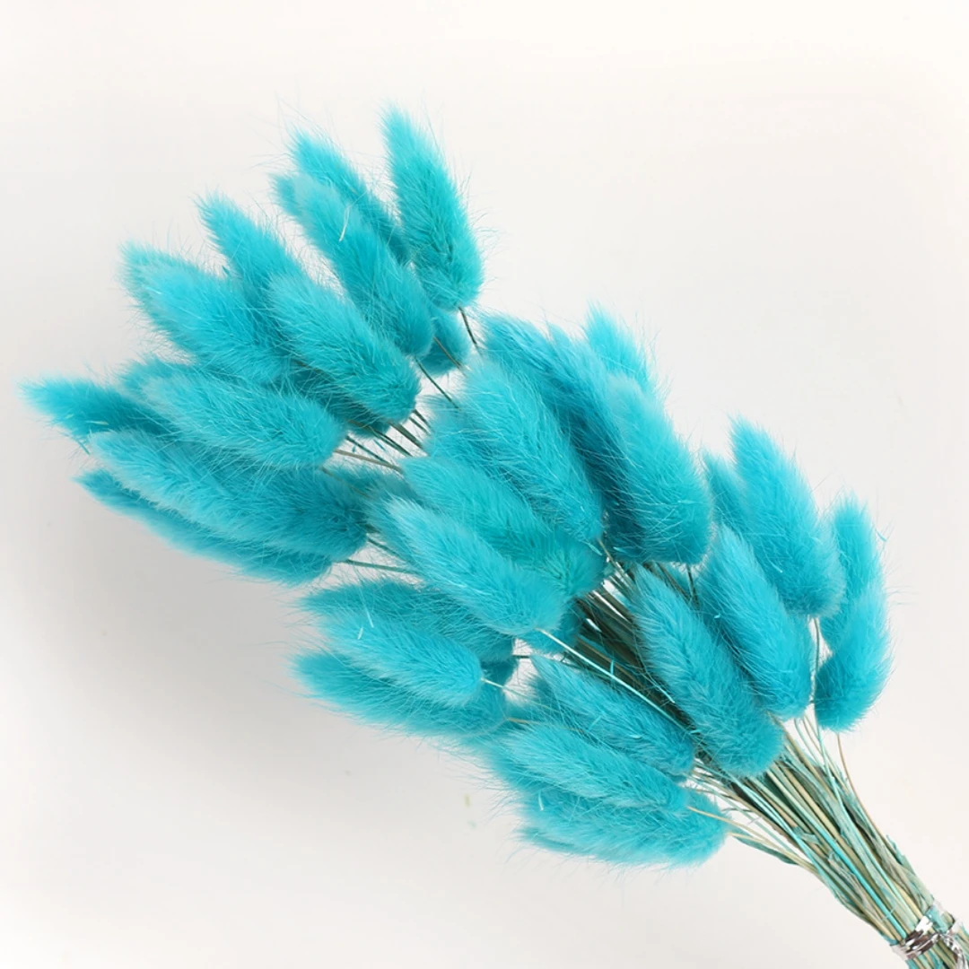 100Pcs Natural Bunny Rabbit Tail Grass Real Dried Flower Home Decor Bouquet Colorful Lagurus Ovatus Wedding Floral Arrangement 24 kf S90adbf3297c9428aa568c7d293771c76G