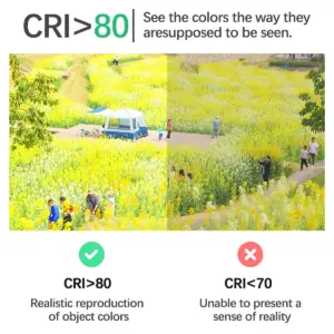 kf S9509cef9f3574bdca2a271021792285fO