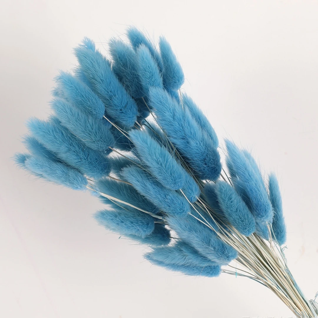 100Pcs Natural Bunny Rabbit Tail Grass Real Dried Flower Home Decor Bouquet Colorful Lagurus Ovatus Wedding Floral Arrangement 16 kf Sa15a878596a74f6e8c96173d9030b5b6d