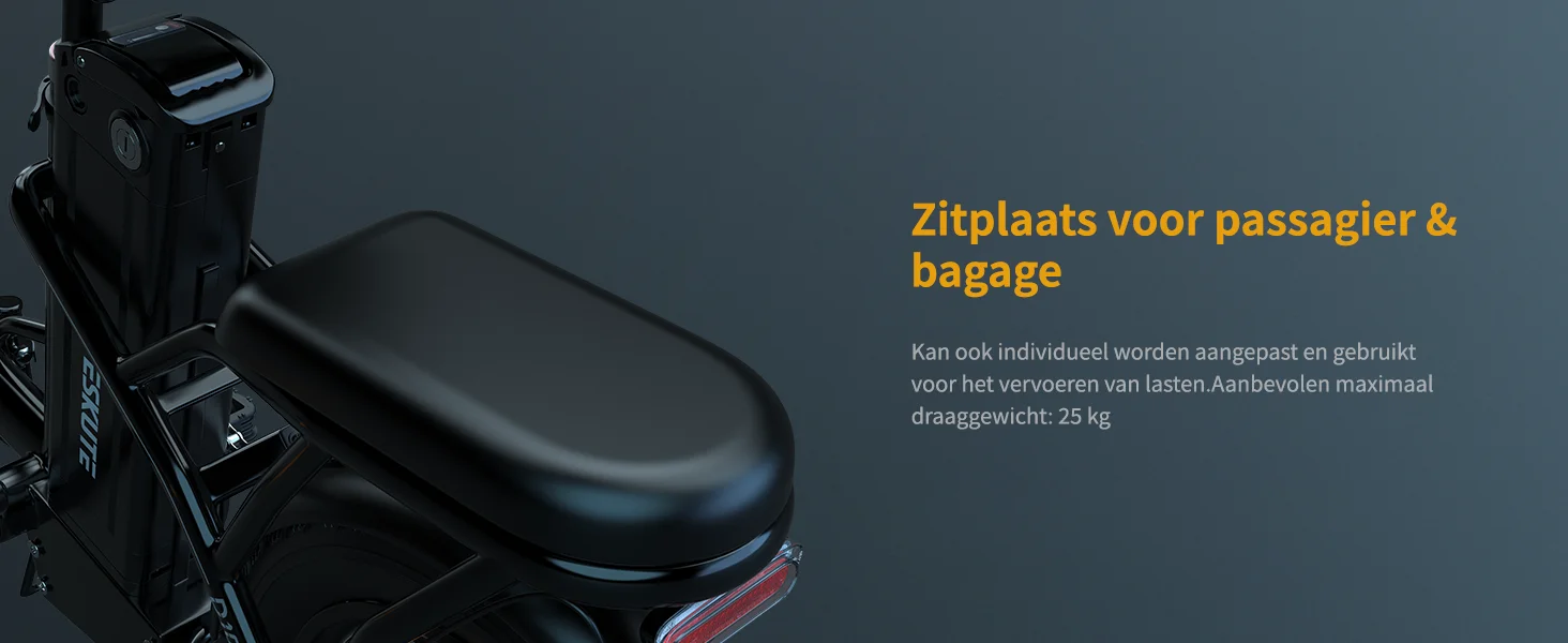 ESKUTE D100 Foldable E-Bike 250W Powerful Motor 36V13AH Lithium Battery Adult Electric Bike 16 Inch Tire City Commuting E-Bike 15 kf Sae48dd516f5549239da07c57abfdbd0fK