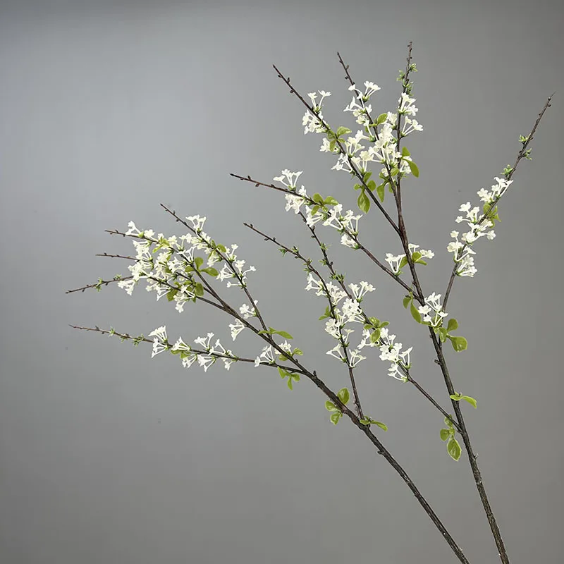 kf Sb6a1ff5699f44992925af45c4f5b5c79E