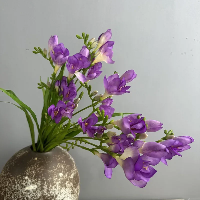 kf Sbe35b793c44f446f8136e3099d6b9216c