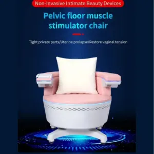 EMS Pelvic Floor Muscle Training Chair - Personal Muscle Stimulator for Urinary Incontinence Treatment Home Health Care Equipmen