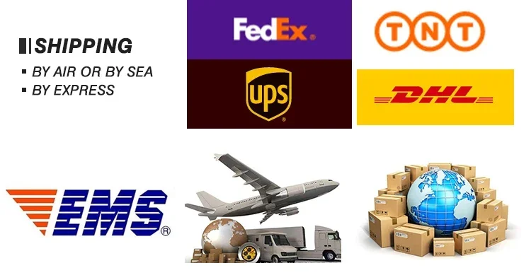 Electric Bike 750W Motor 48V13AH Battery Double Shock Absorber Electric Bicycle 20-Inch Fat Fetus Anti-slip Folding E-Bike 25 kf Sc5b6f404a7ad42099828faa4146b9ca4c