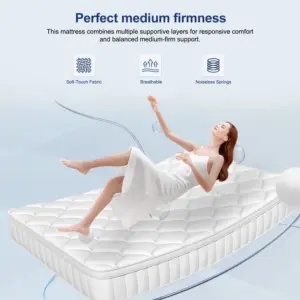 AUTHMIC 7-Zone Pocket Spring Mattress 25cm Thick Medium Firm Hybrid Breathable Anti-Mite Noiseless Bed for Adults Sleep Support 6 kf Sc5e259eeb8744a1b9abc6a63f7299017X